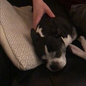 Meet your Posher, Zach